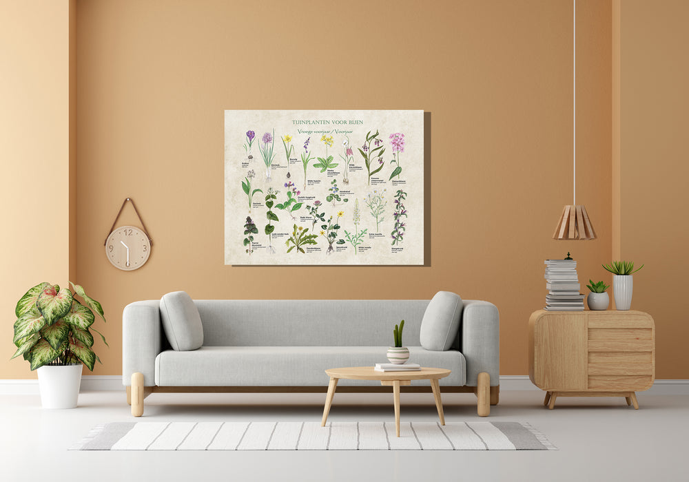 Wanddecoratie "Tuinplanten voor bijen - voorjaar"