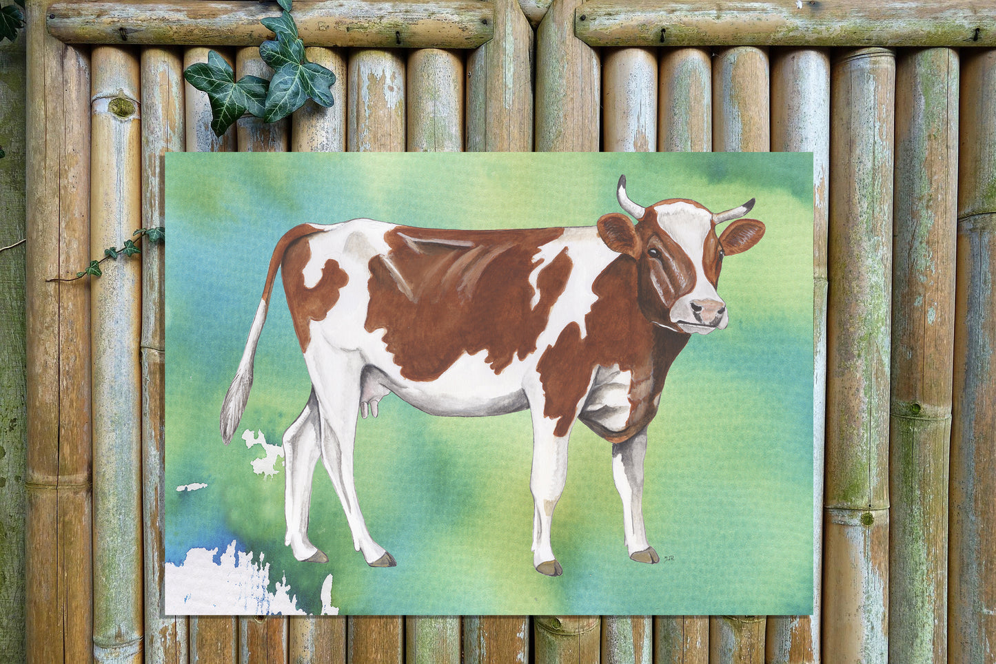 Tuinposter "Fries Holland Koe"