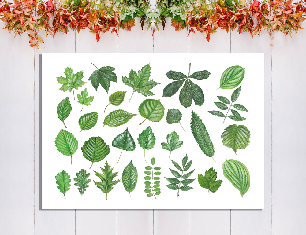 Tuinposter "Collage van bladeren"