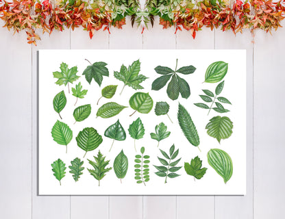 Tuinposter "Collage van bladeren"