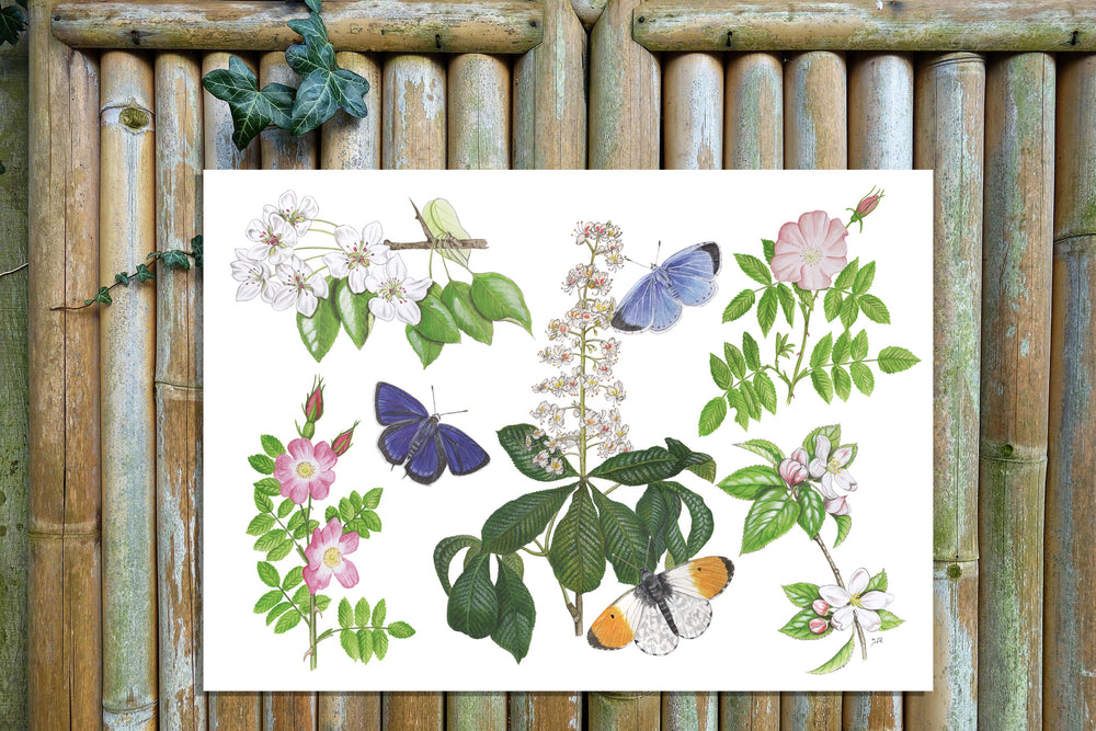 Tuinposter "Bloesems en haar vlinders"