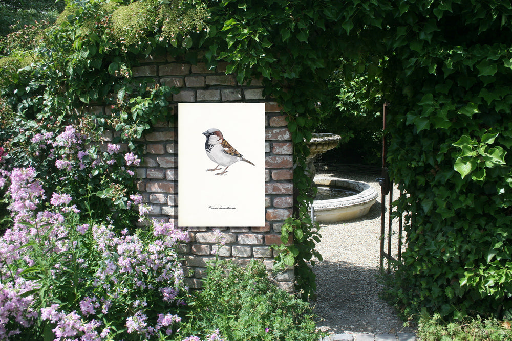 Tuinposter "Huismus"