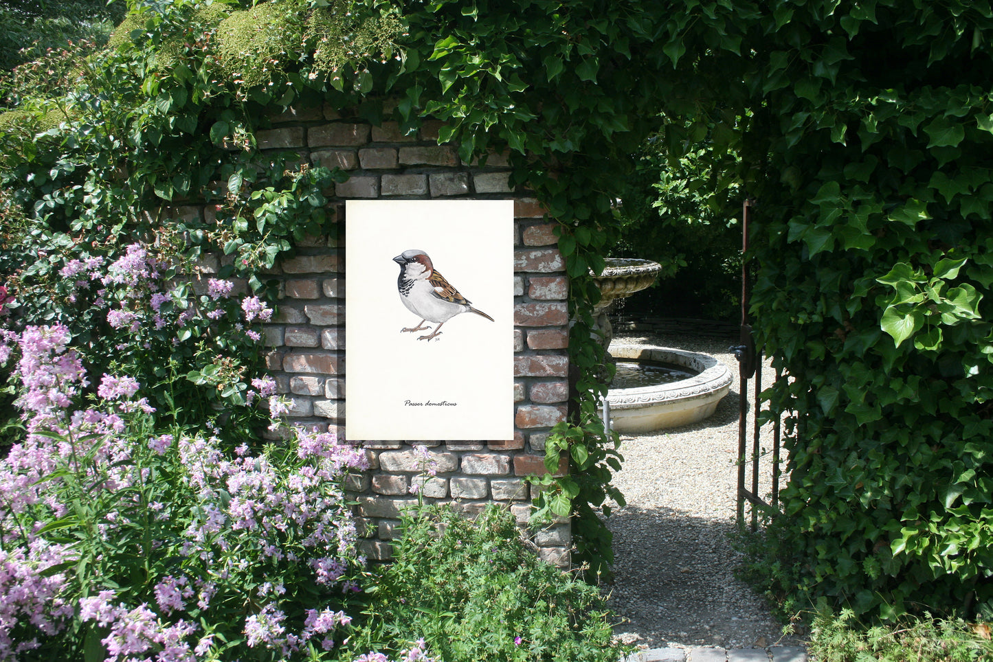 Tuinposter "Huismus"