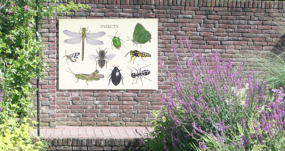 Tuinposter "Insects 2"