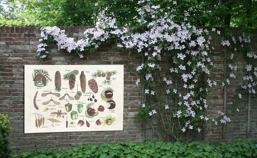 Tuinposter "Noten en zaden"