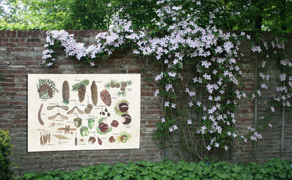 Tuinposter "Noten en zaden"