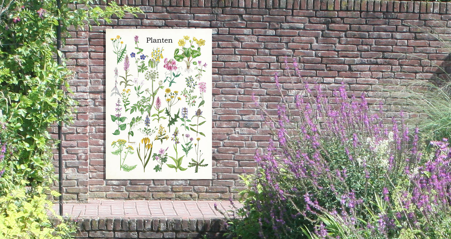 Tuinposter "Planten"