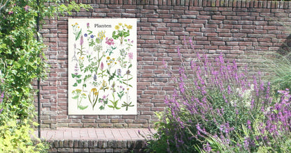 Tuinposter "Planten"