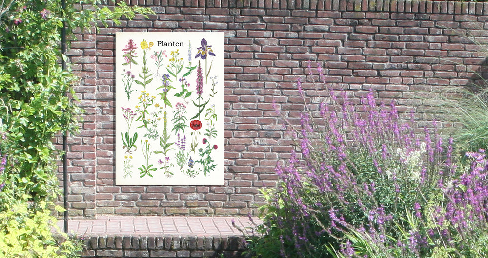 Tuinposter "Planten 2"