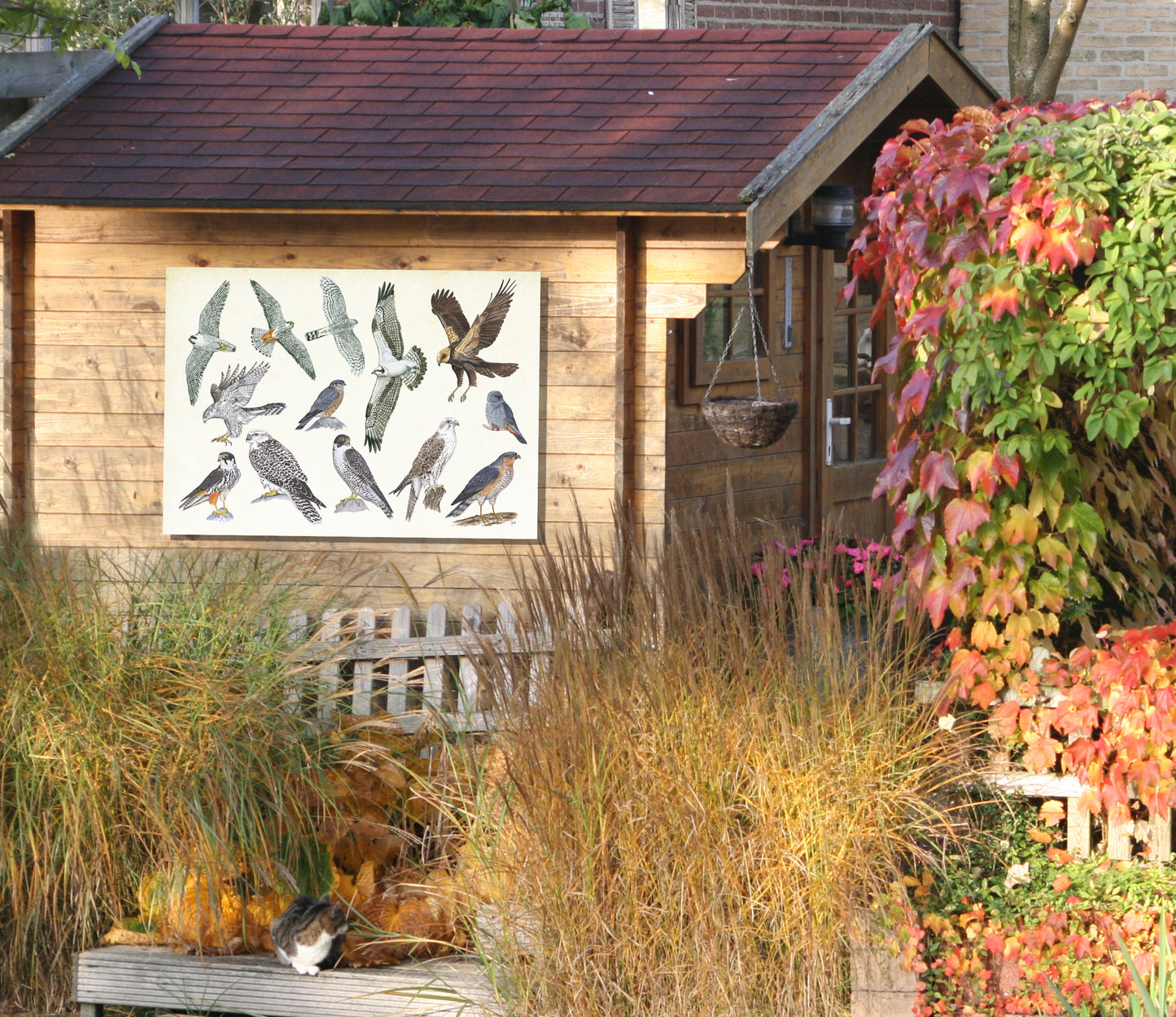 Tuinposter "Roofvogels"