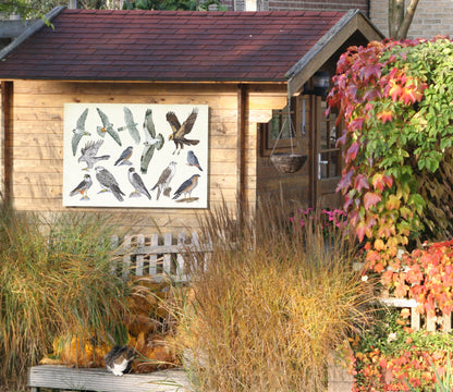 Tuinposter "Roofvogels"