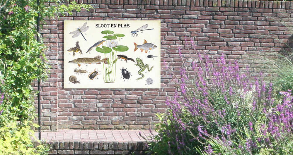 Tuinposter "Sloot en plas"
