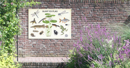 Tuinposter "Sloot en plas"