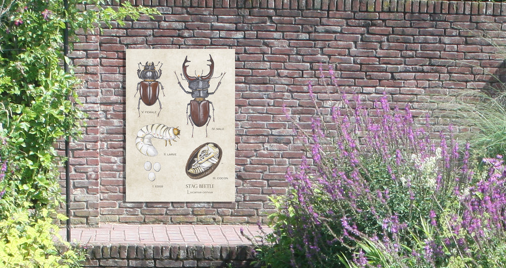 Tuinposter "Vliegend hert"