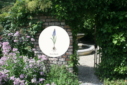 Tuinposter Cirkel "Blauwe druif"