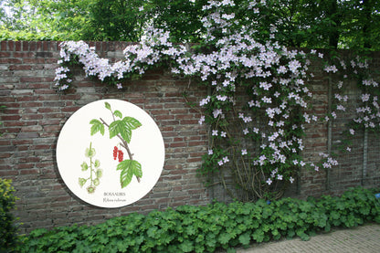 Tuinposter Cirkel "Bosaalbes"