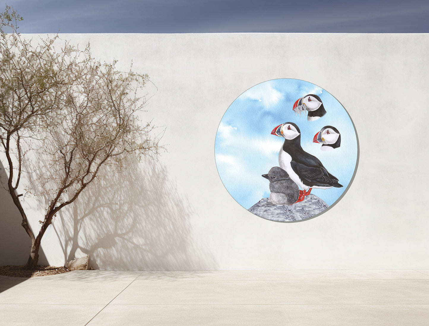 Tuinposter Cirkel "Papegaaiduikers met blauwe lucht"