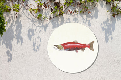 Tuinposter Cirkel "Rode zalm"