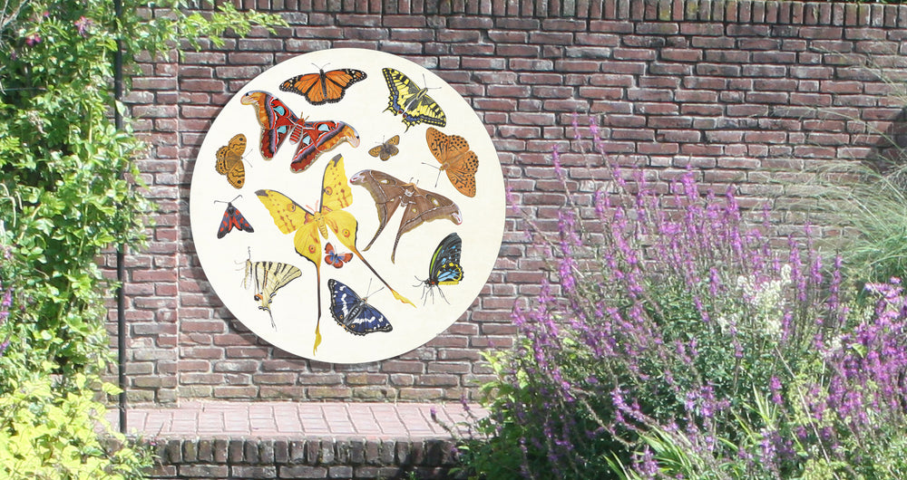 Tuinposter Cirkel "Tropische vlinders"