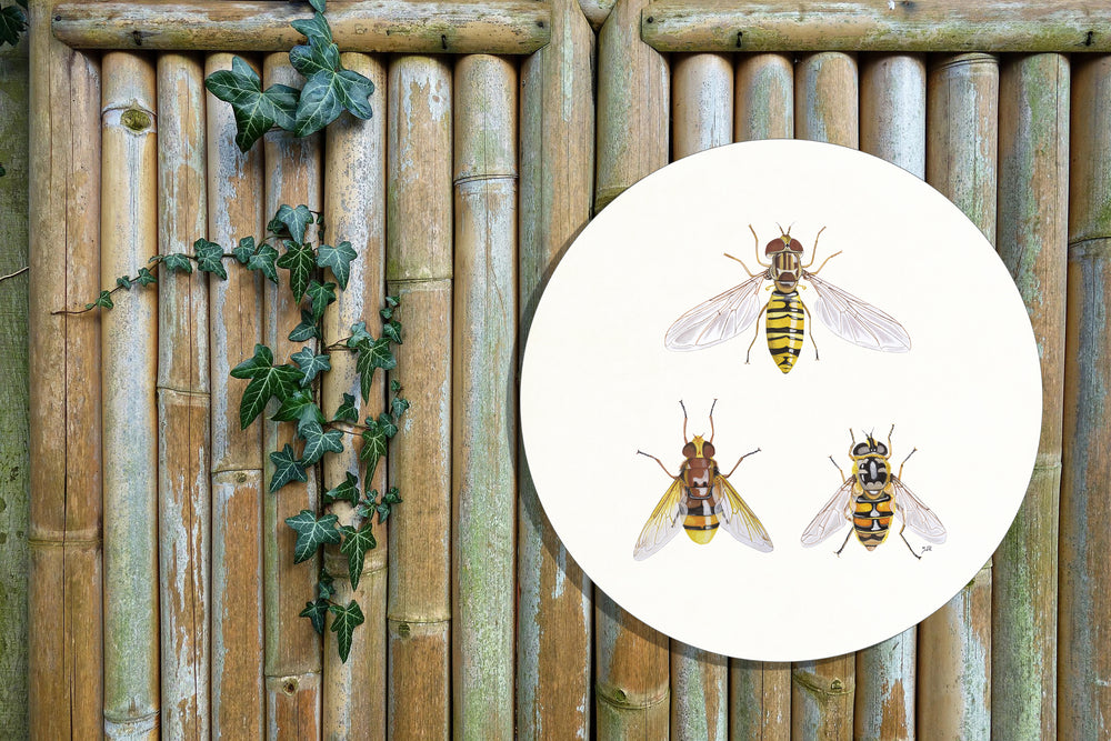 Tuinposter Cirkel "Zweefvliegen"
