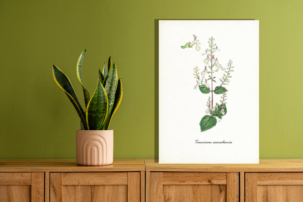 Wanddecoratie "Valse salie"