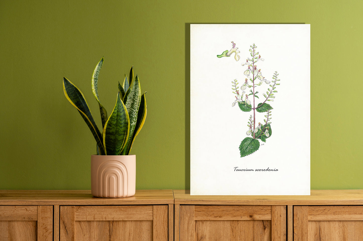 Wanddecoratie "Valse salie"
