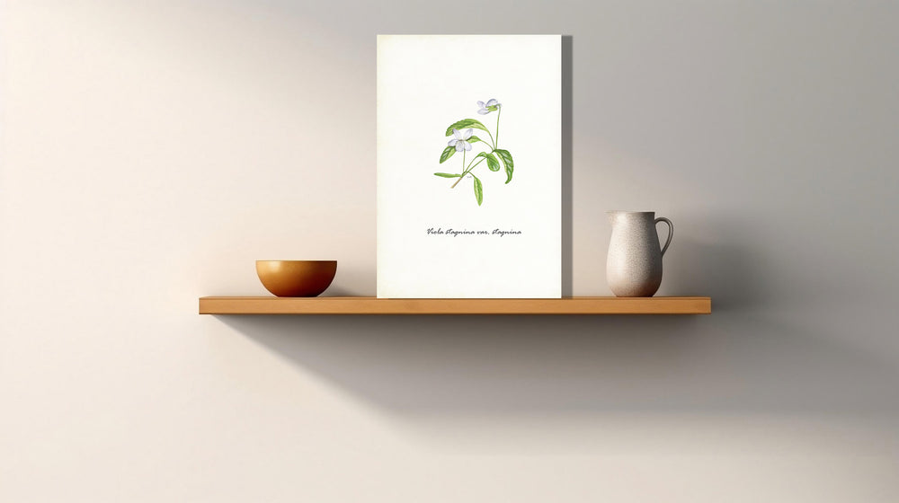 Wanddecoratie "Veenmelkviooltje"