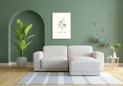 Wanddecoratie "Veenmelkviooltje"