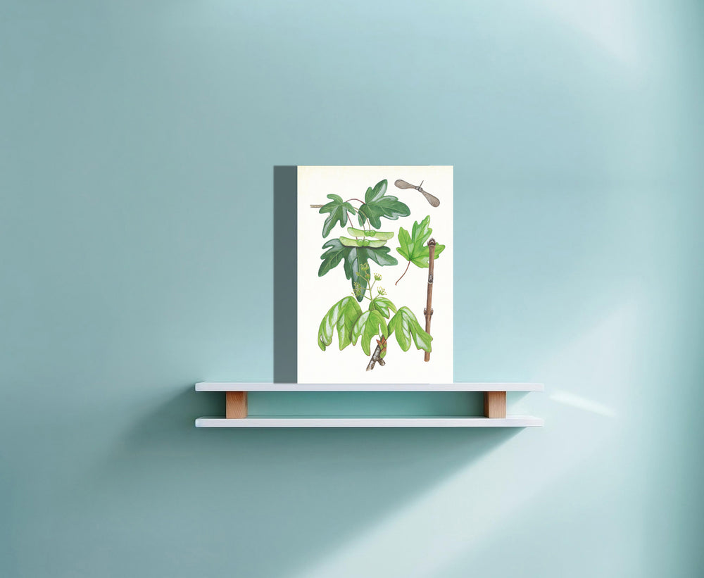 Wanddecoratie "Veldesdoorn, het leven van"