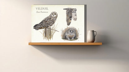 Wanddecoratie "Velduil, het leven van"