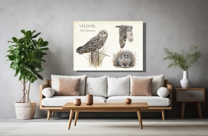 Wanddecoratie "Velduil, het leven van"
