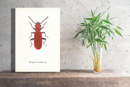 Wanddecoratie "Vermiljoenkever"