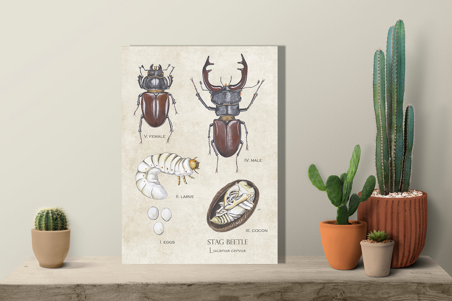 Wanddecoratie "Vliegend hert, het leven van"