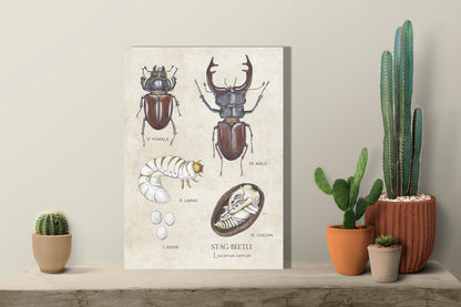 Wanddecoratie "Vliegend hert, het leven van"
