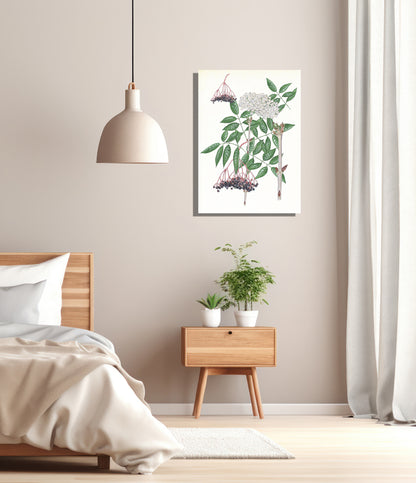 Wanddecoratie "Vlier, het leven van"