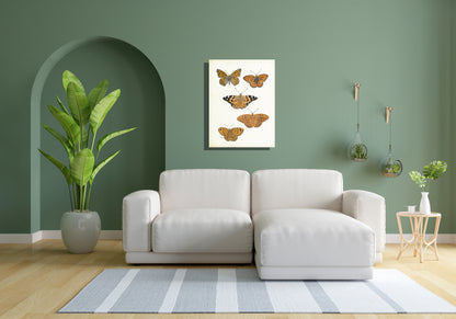 Wanddecoratie "Vlinders (4) met parelmoervlinders en distelvlinder"