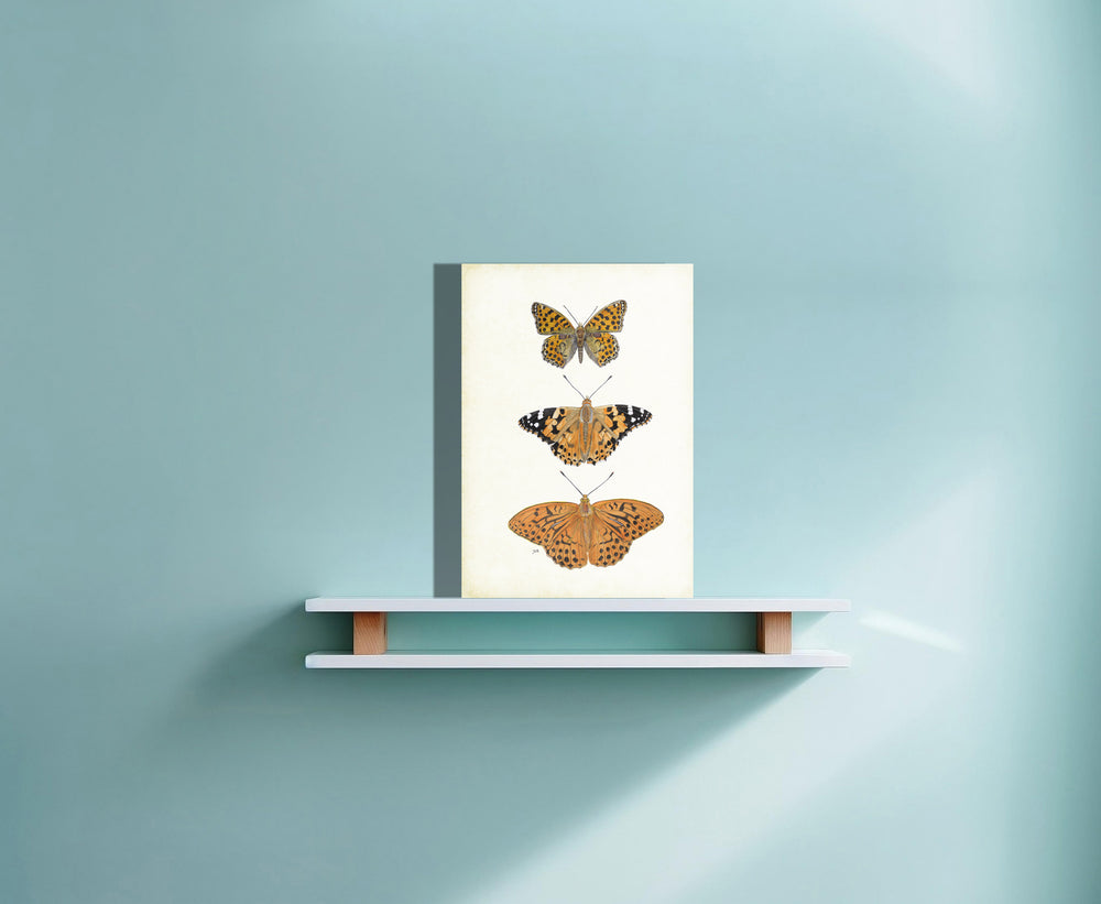 Wanddecoratie "Vlinders (3) met parelmoervlinder, distelvlinder en keizersmantel"