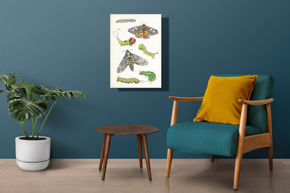 Wanddecoratie "Vlinders en rupsen"