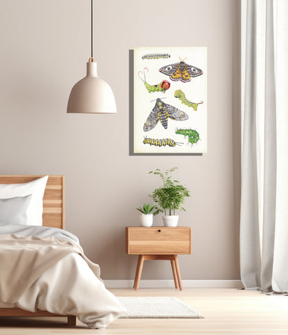 Wanddecoratie "Vlinders en rupsen"