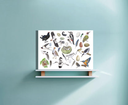 Wanddecoratie "Vogels, het leven van"