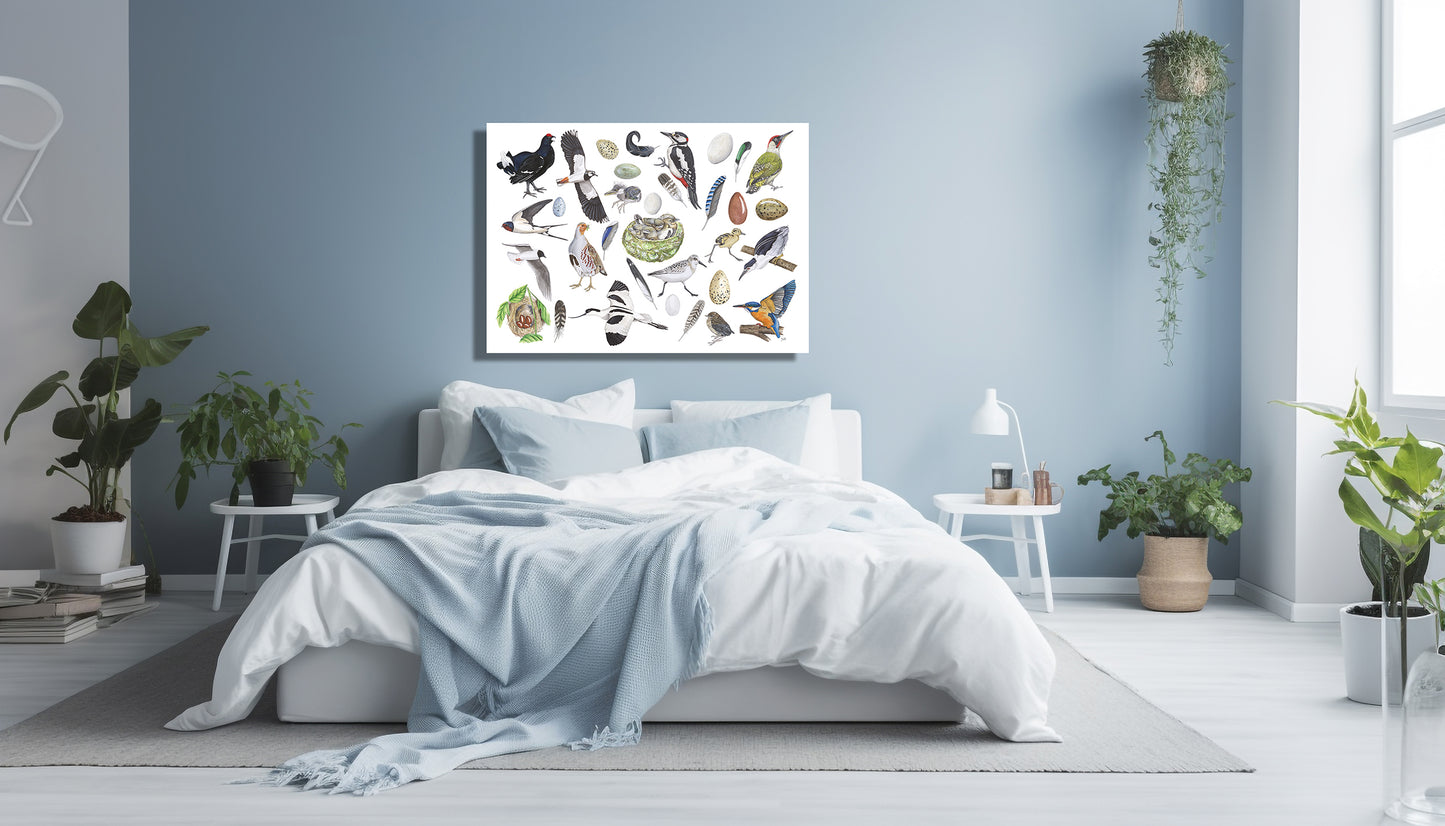 Wanddecoratie "Vogels, het leven van"