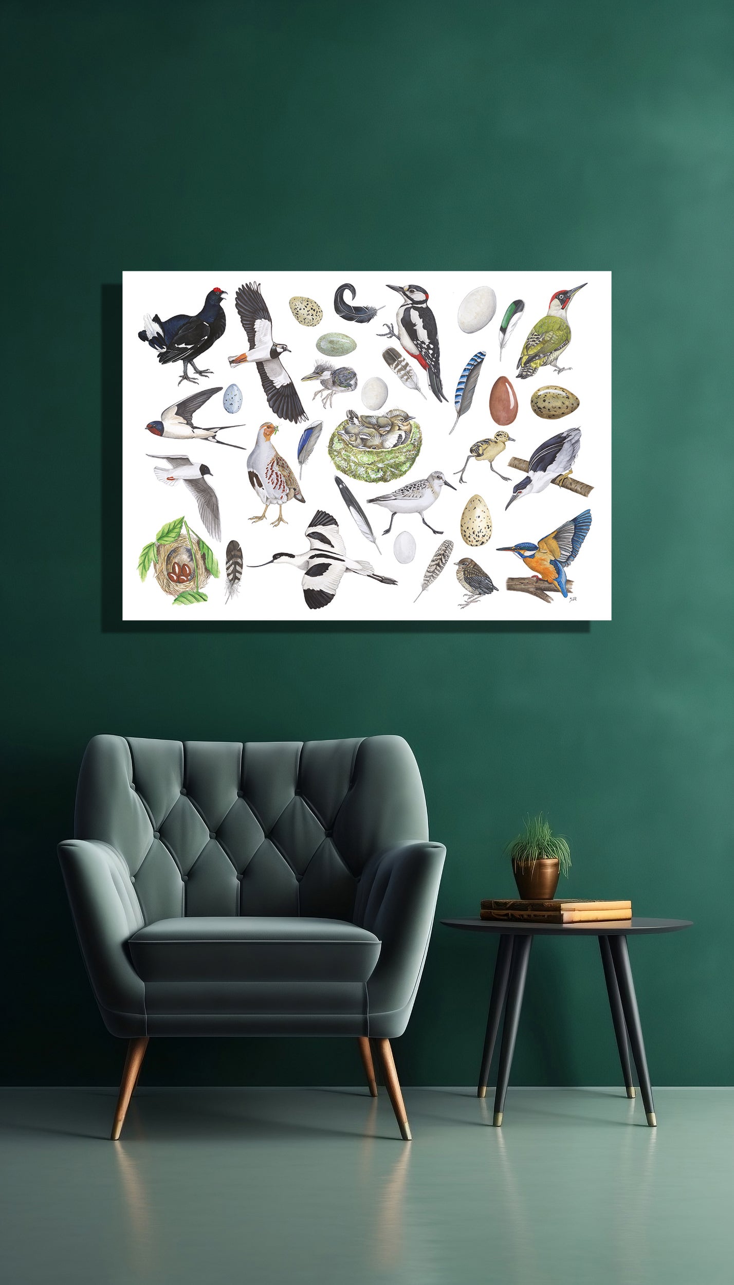 Wanddecoratie "Vogels, het leven van"