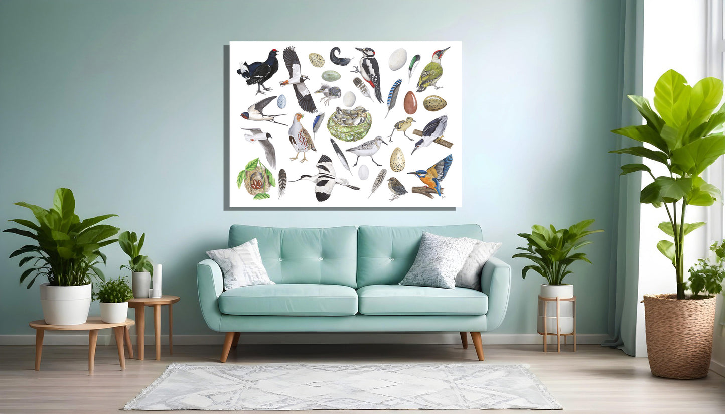 Wanddecoratie "Vogels, het leven van"