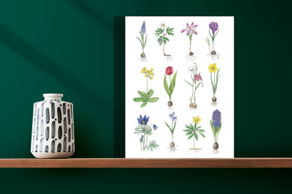 Wanddecoratie "Voorjaarsbloeiers"