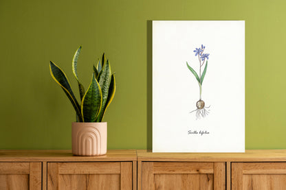 Wanddecoratie "Vroege sterhyacint"