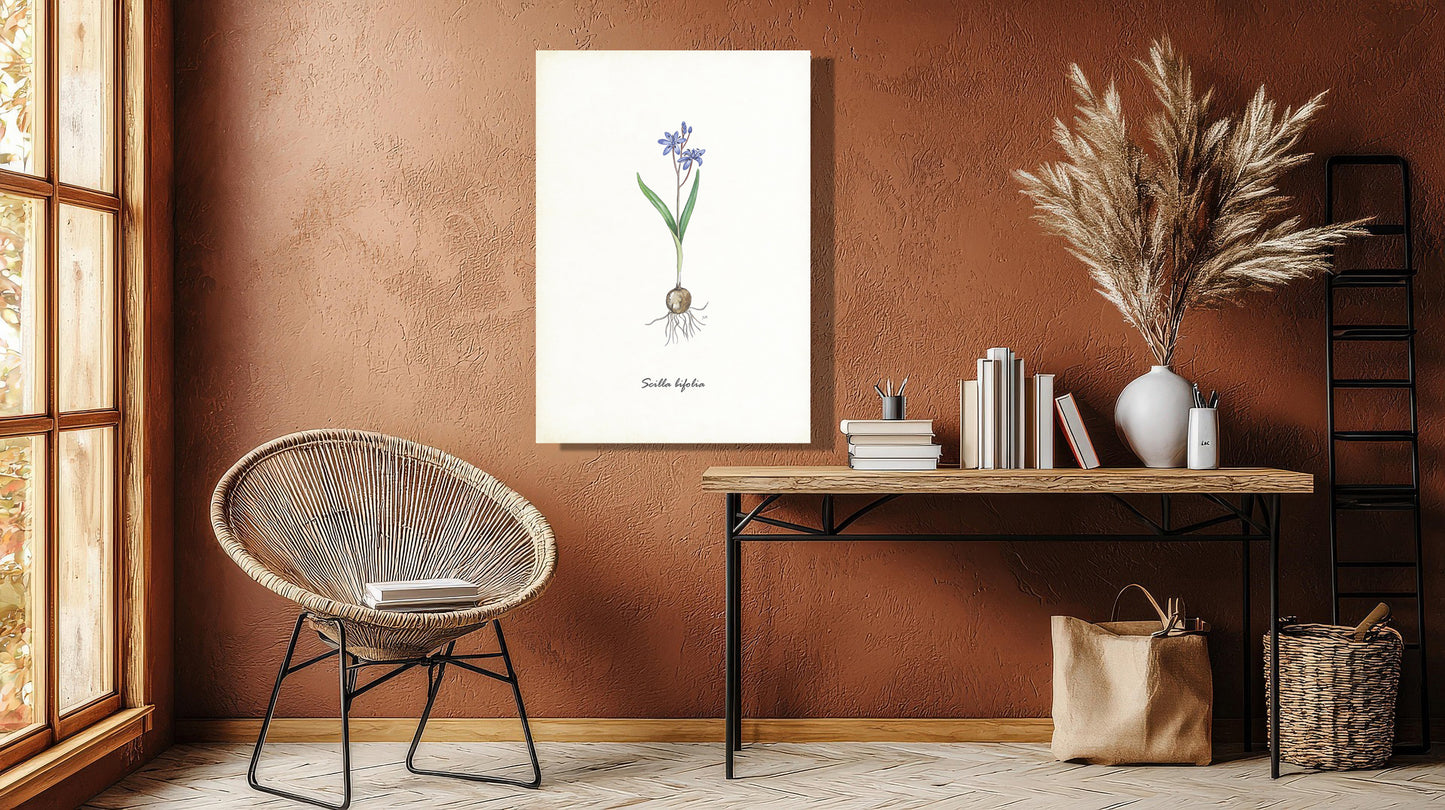 Wanddecoratie "Vroege sterhyacint"