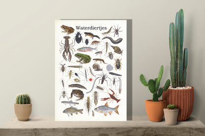 Wanddecoratie "Waterdiertjes"