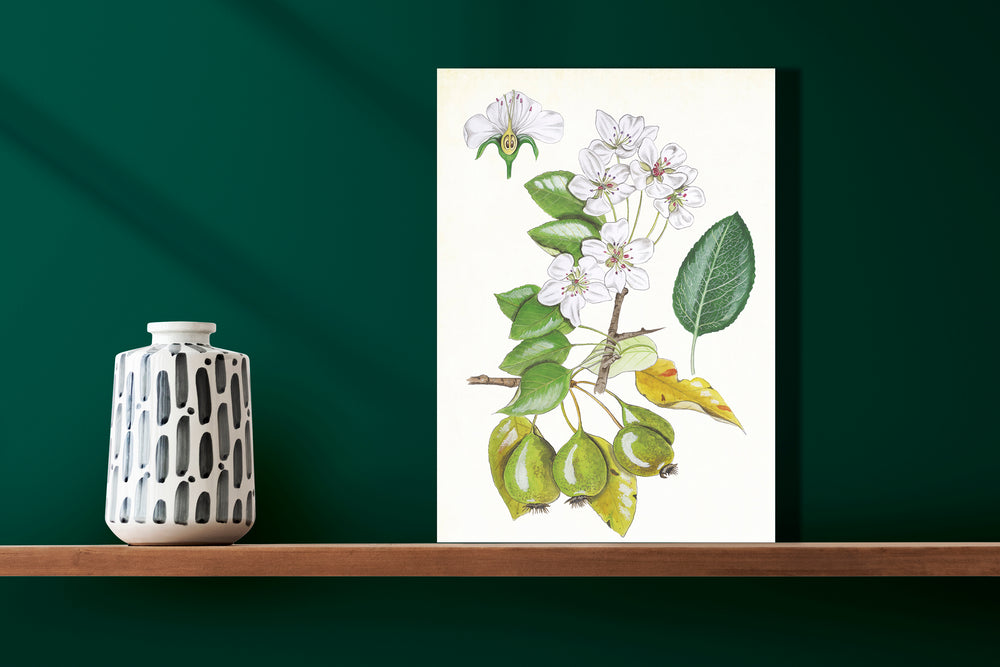 Wanddecoratie "Wilde peer, het leven van"