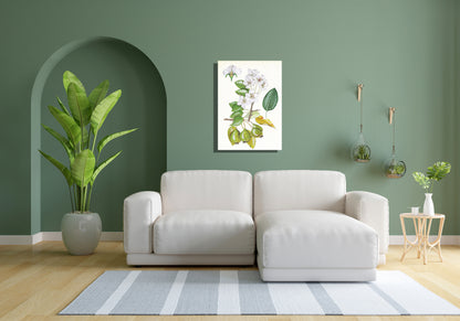 Wanddecoratie "Wilde peer, het leven van"