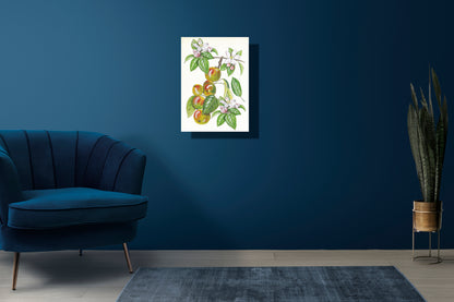 Wanddecoratie "Wilde appel, het leven van"